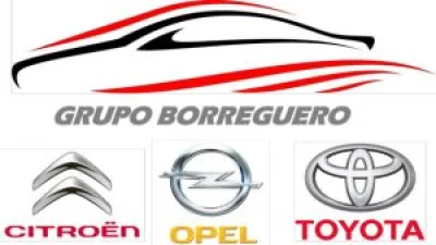 Grupo Borreguero